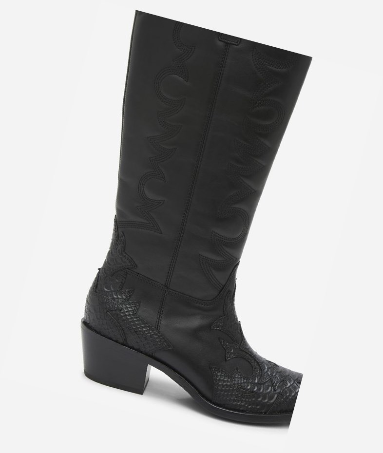 Long Boots ASH Dream Femme Noir | PDZ-33853243