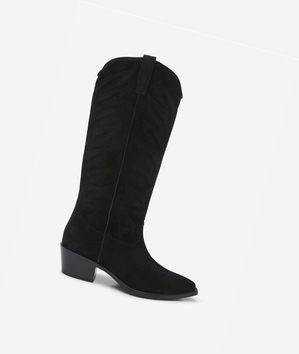 Long Boots ASH Delirium Femme Noir | ACB-43822626