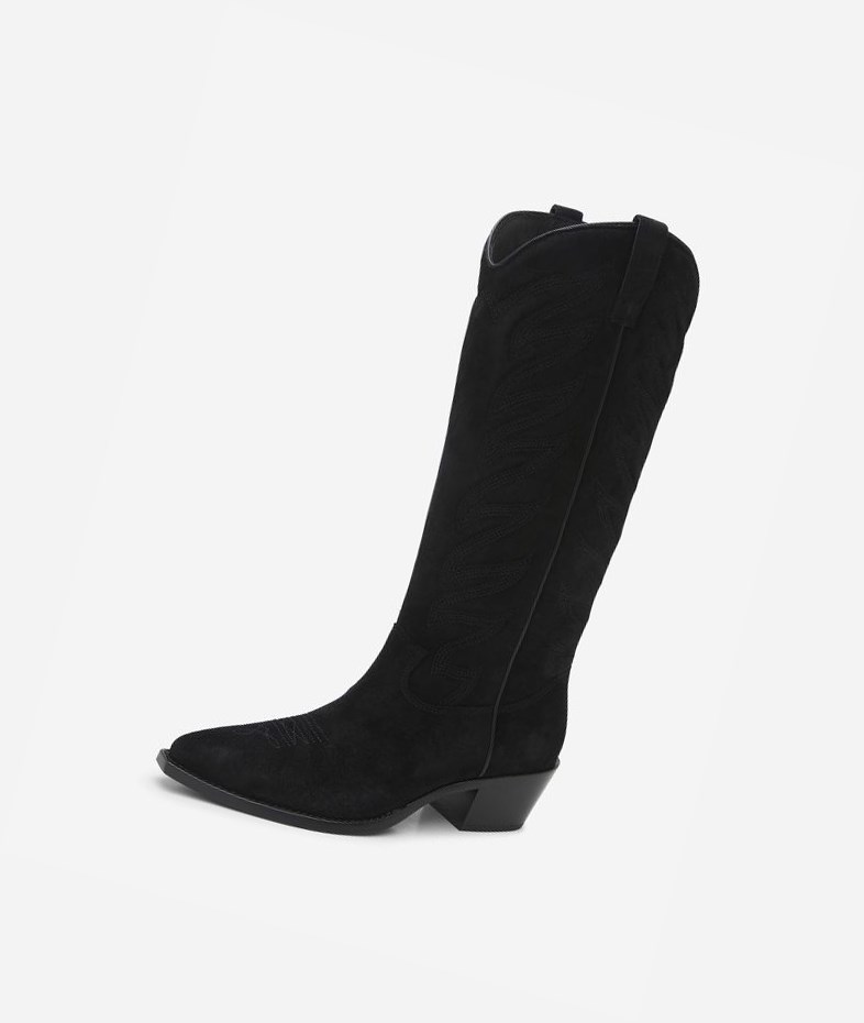 Long Boots ASH Delirium Femme Noir | ACB-43822626