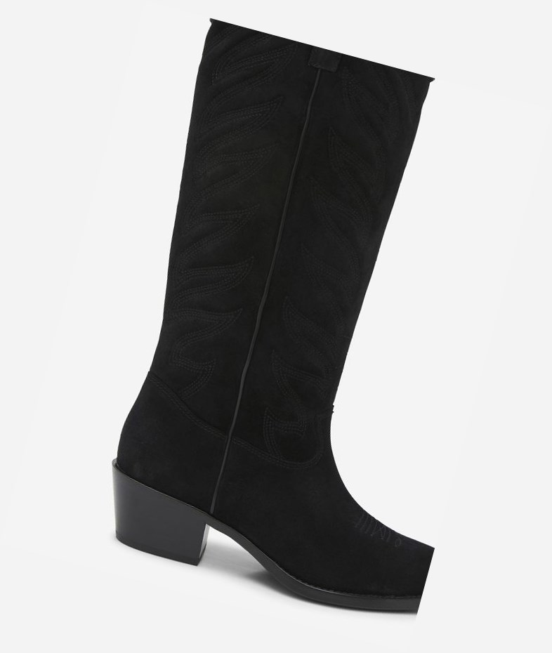 Long Boots ASH Delirium Femme Noir | ACB-43822626