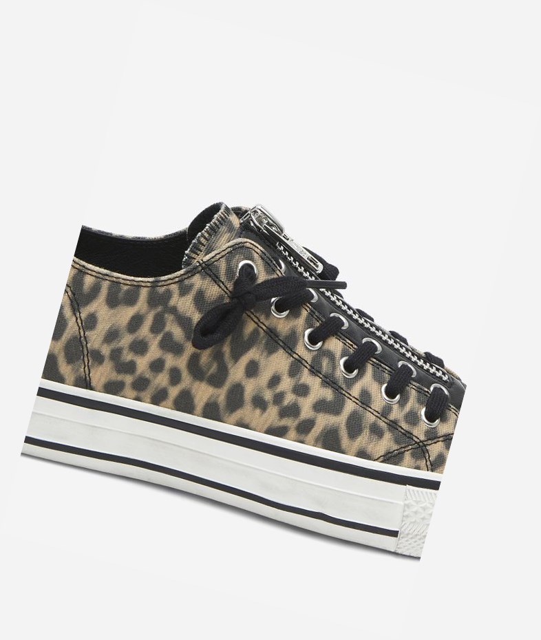 Low-Top Sneakers ASH Verso Femme Beige Noir | MCE-26756736