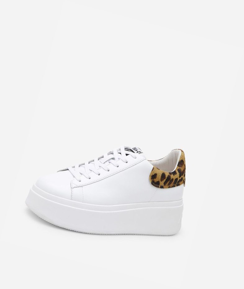 Low-Top Sneakers ASH Moby Femme Blanche Noir | VTJ-99351314