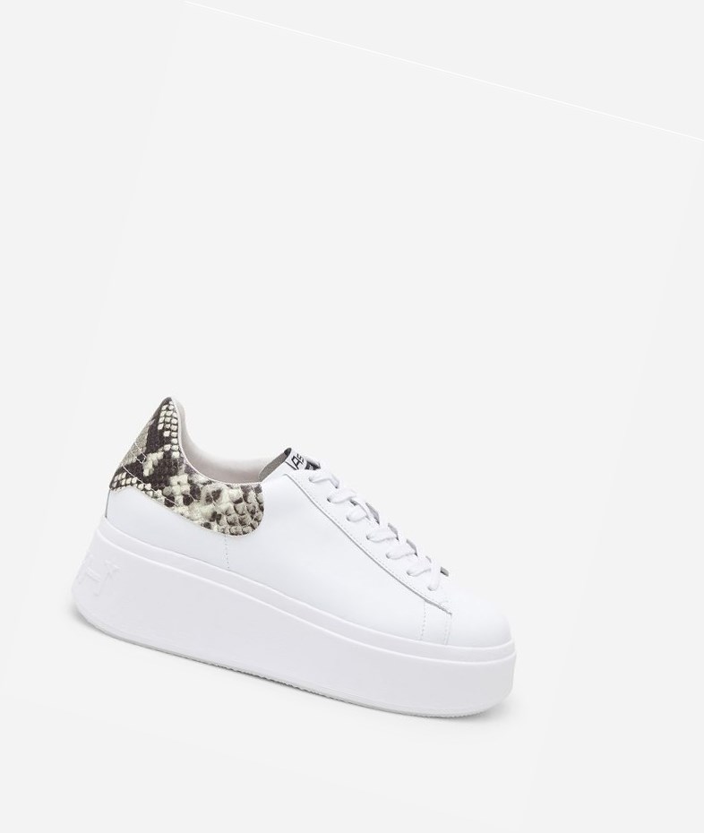 Low-Top Sneakers ASH Moby Femme Blanche | SRN-49886842