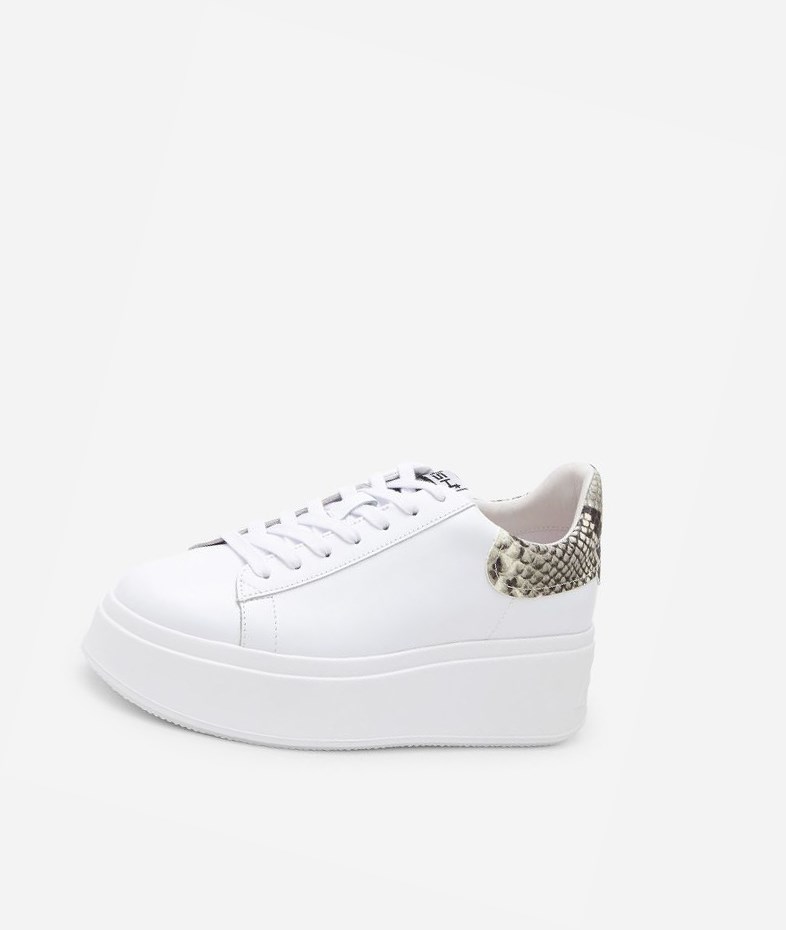 Low-Top Sneakers ASH Moby Femme Blanche | SRN-49886842