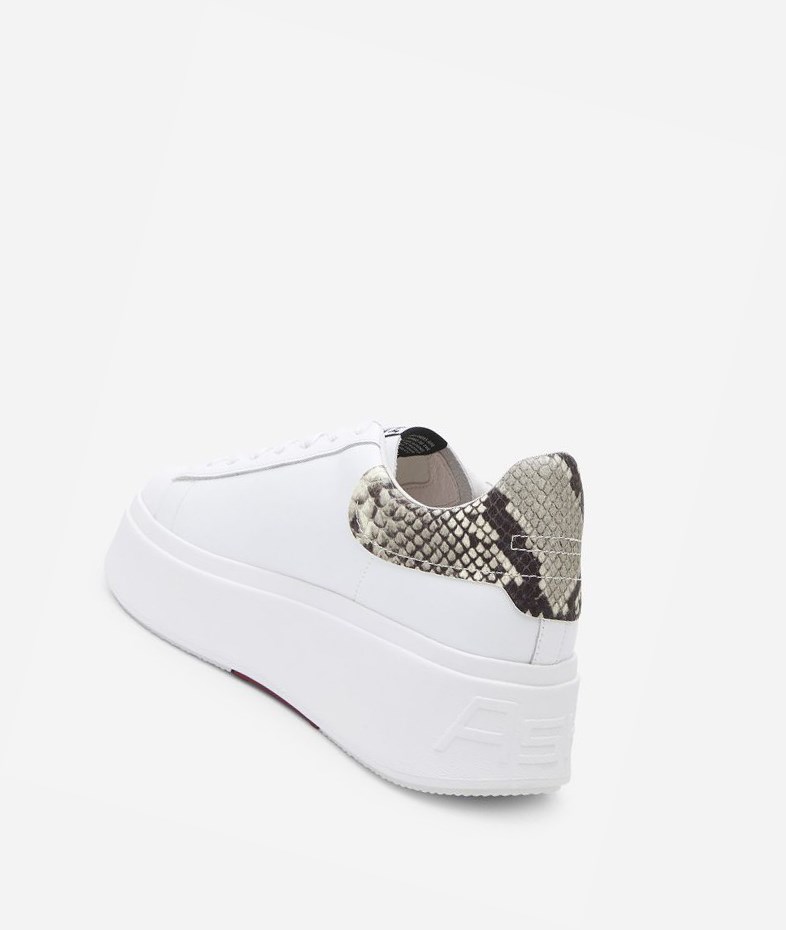 Low-Top Sneakers ASH Moby Femme Blanche | SRN-49886842