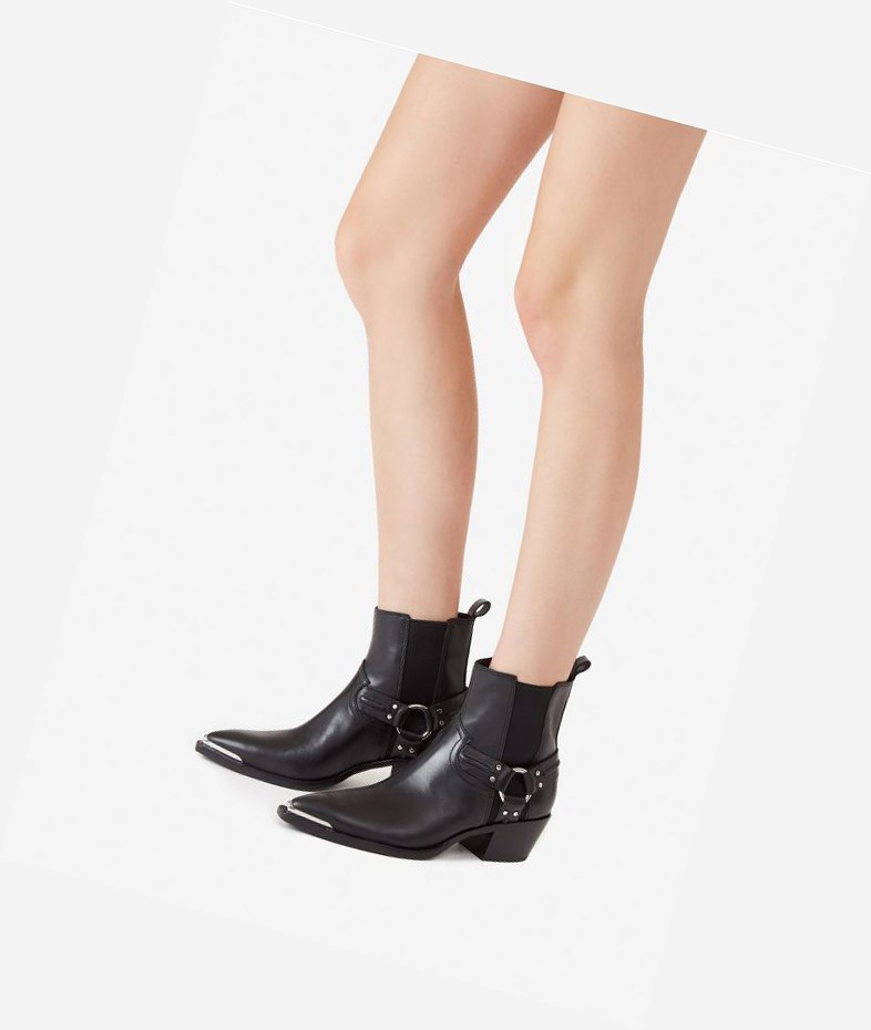 Bottines ASH Dusty Femme Noir | RLT-02444312