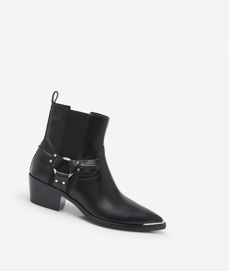 Bottines ASH Dusty Femme Noir | GXS-01507876