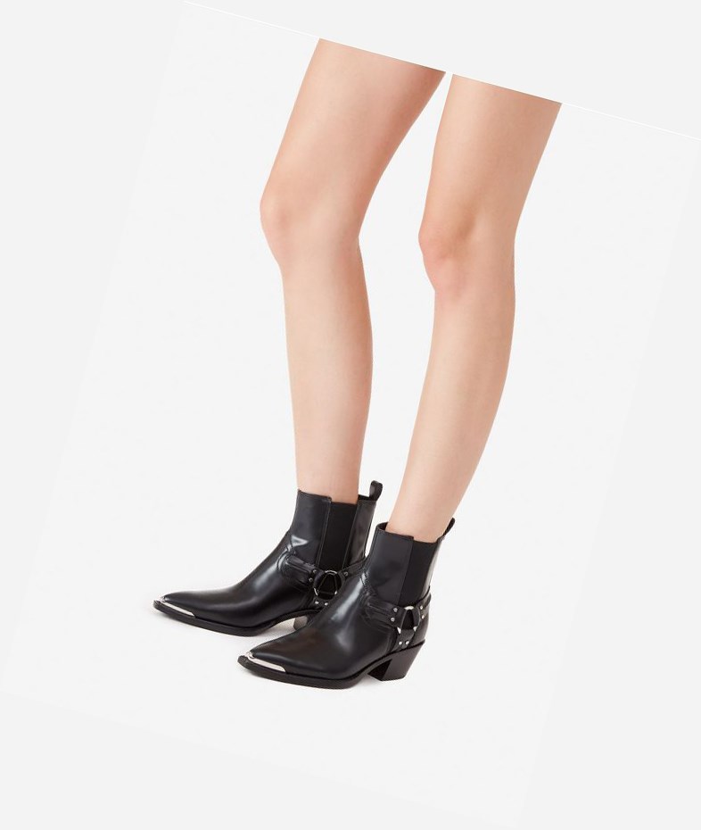 Bottines ASH Dusty Femme Noir | GXS-01507876