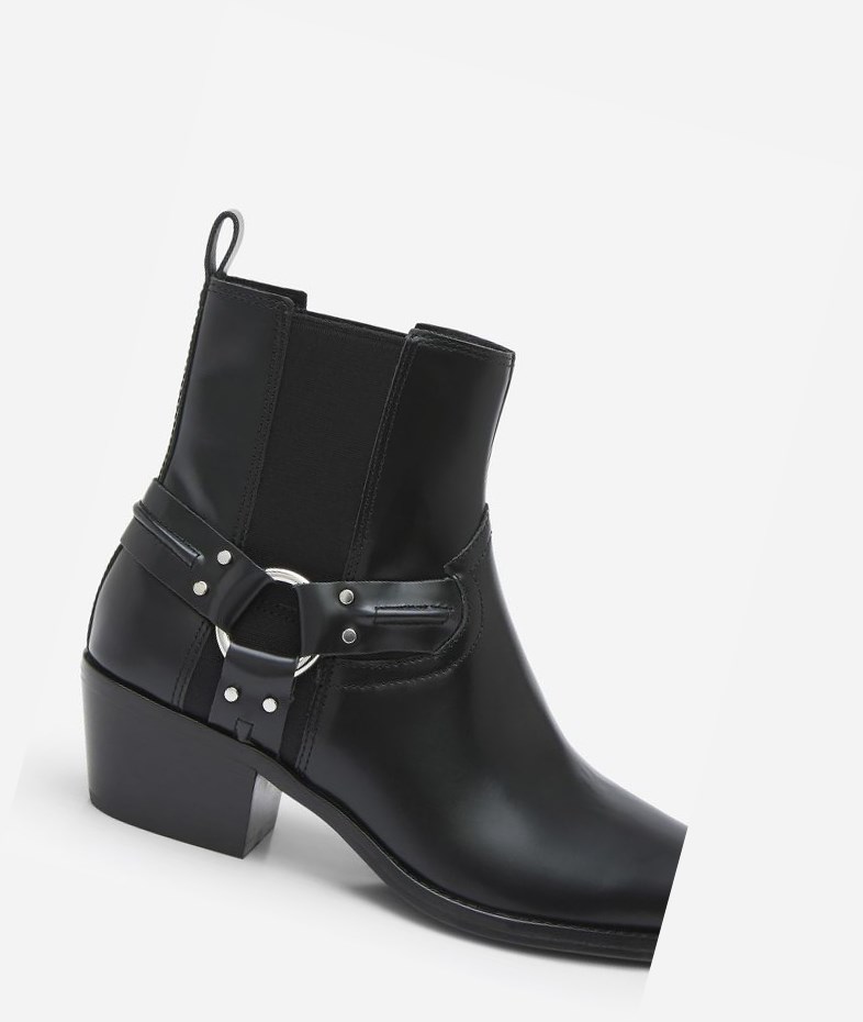 Bottines ASH Dusty Femme Noir | GXS-01507876