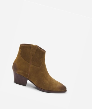 Bottines ASH Houston Femme Russet | DIN-17048808