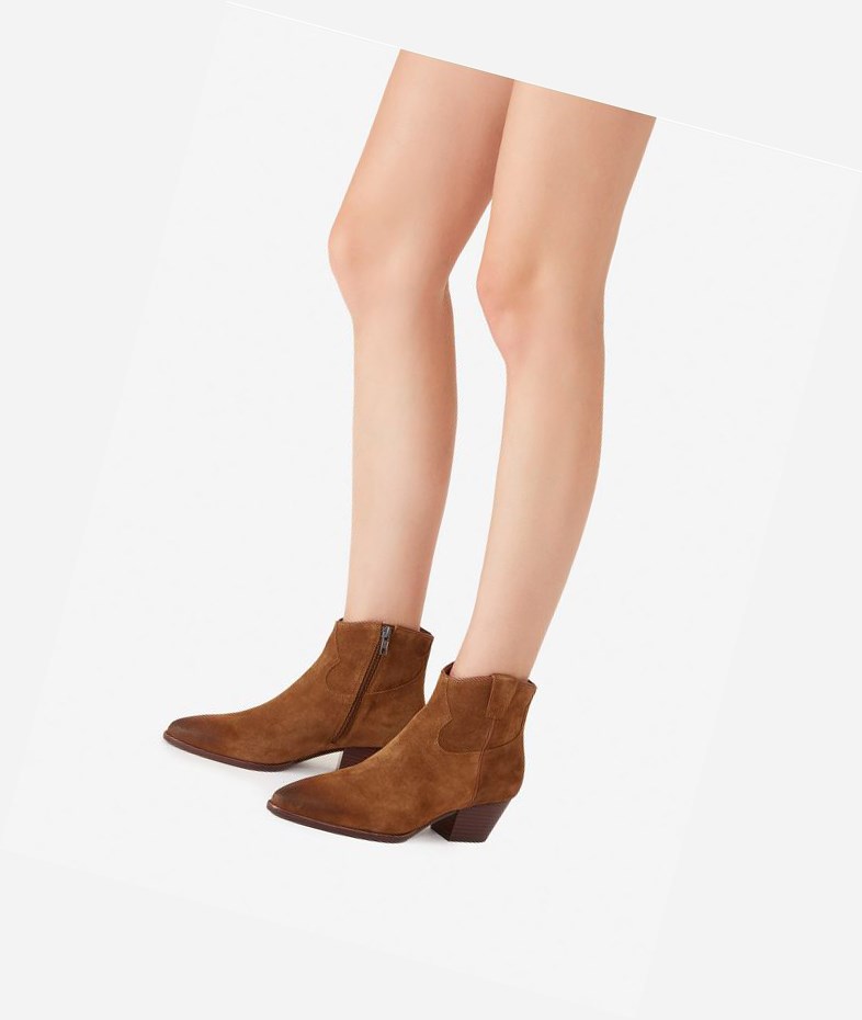 Bottines ASH Houston Femme Russet | DIN-17048808