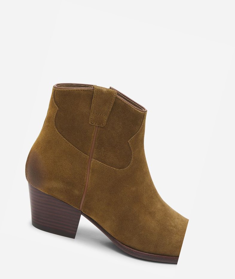 Bottines ASH Houston Femme Russet | DIN-17048808