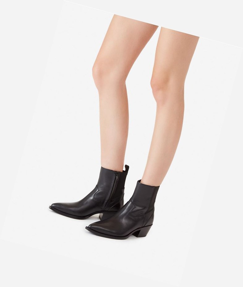 Bottines ASH Dylan Femme Noir | CYB-48065407