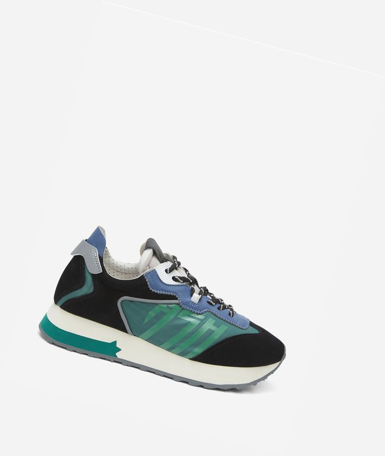 Low-Top Sneakers ASH Tiger Femme Noir Vert | OSW-25518150