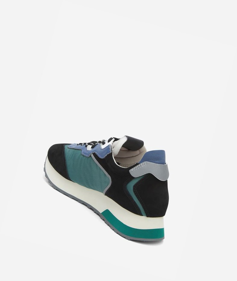 Low-Top Sneakers ASH Tiger Femme Noir Vert | OSW-25518150