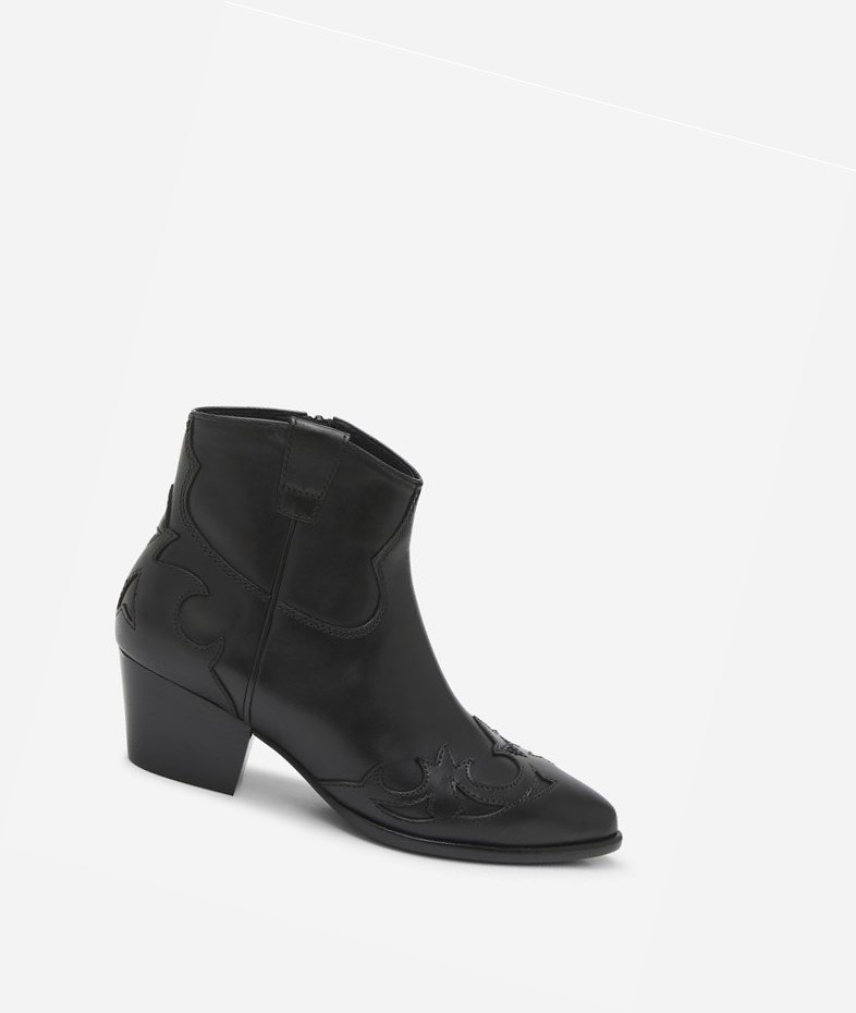 Bottines ASH Harlow Femme Noir | WXQ-59668576