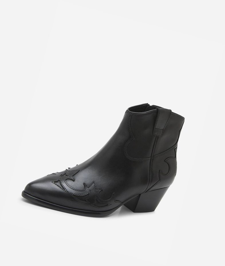 Bottines ASH Harlow Femme Noir | WXQ-59668576