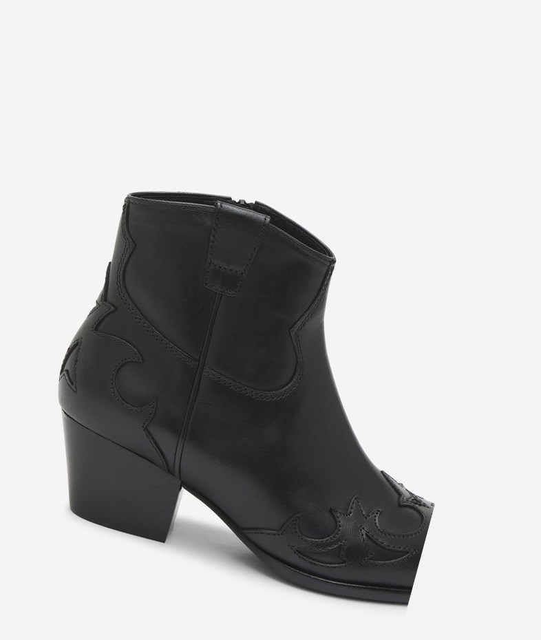 Bottines ASH Harlow Femme Noir | WXQ-59668576