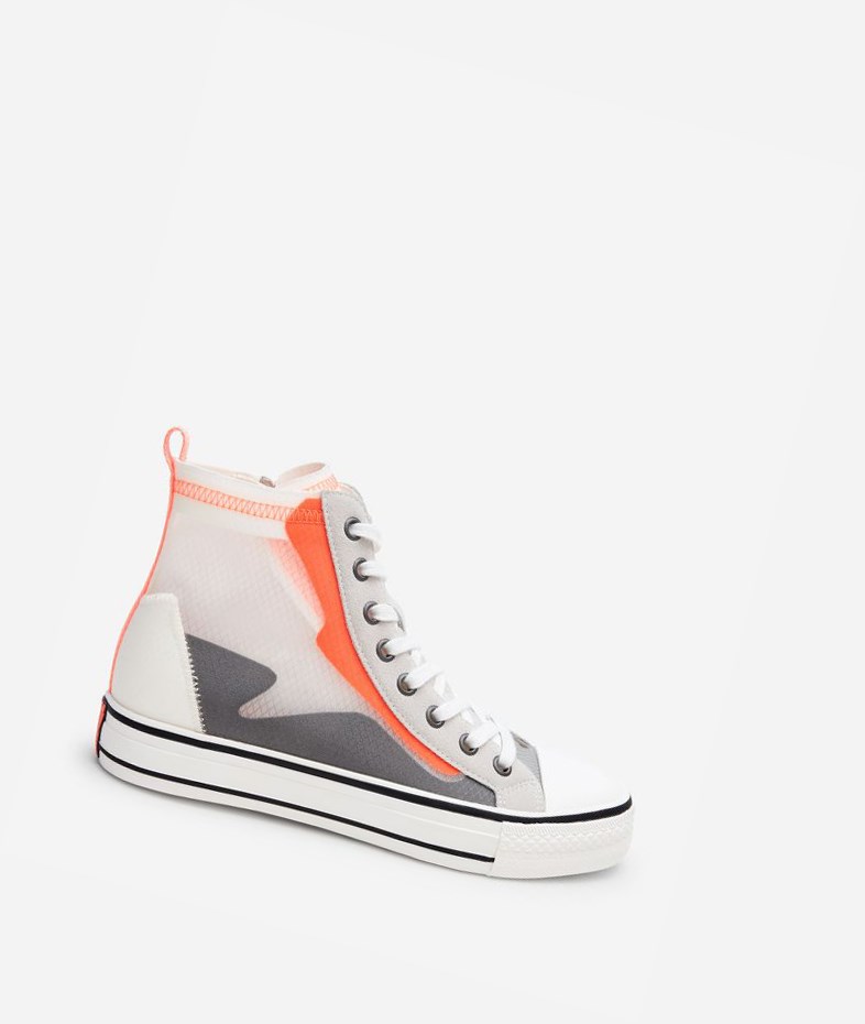 High-Top Sneakers ASH Gasper Femme Grise Orange | XPU-65945740