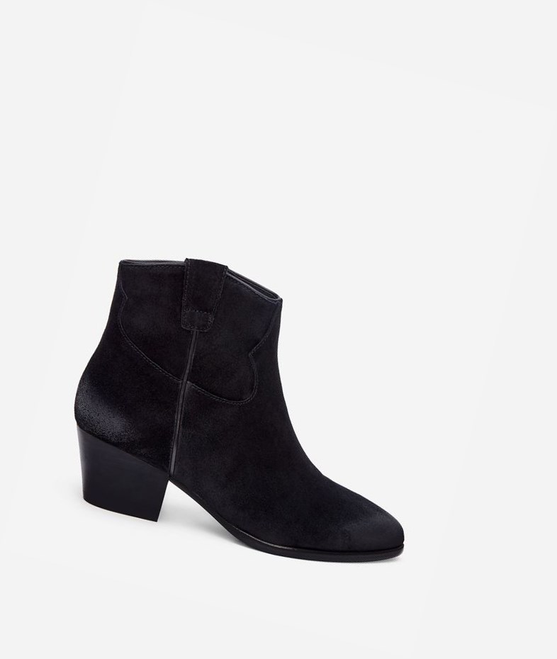 Bottines ASH Houston Femme Noir | HUJ-64389775