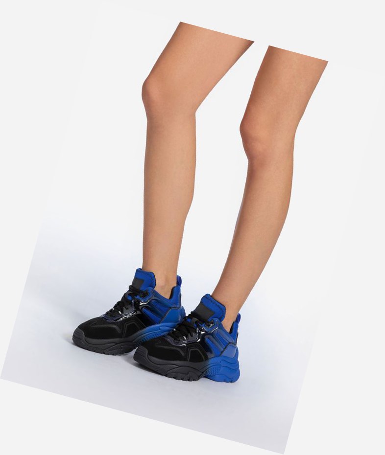 Low-Top Sneakers ASH Active Femme Noir Bleu | JBF-03830652